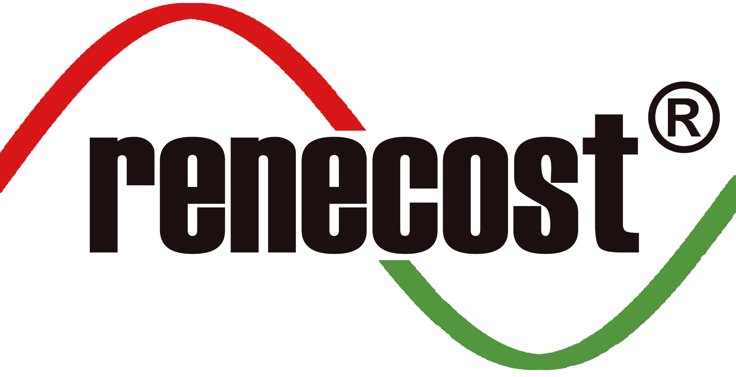 Renecost - Die Zukunft der Netzstabilität